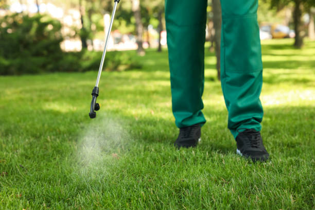 Best Affordable Pest Control Services  in Tsaile, AZ