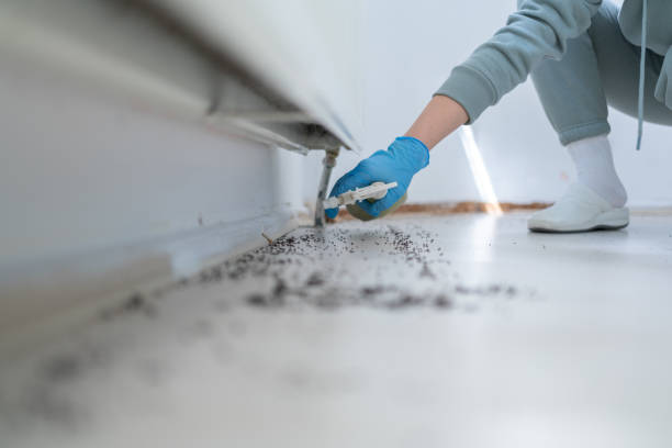 Tsaile, AZ Pest Control Company